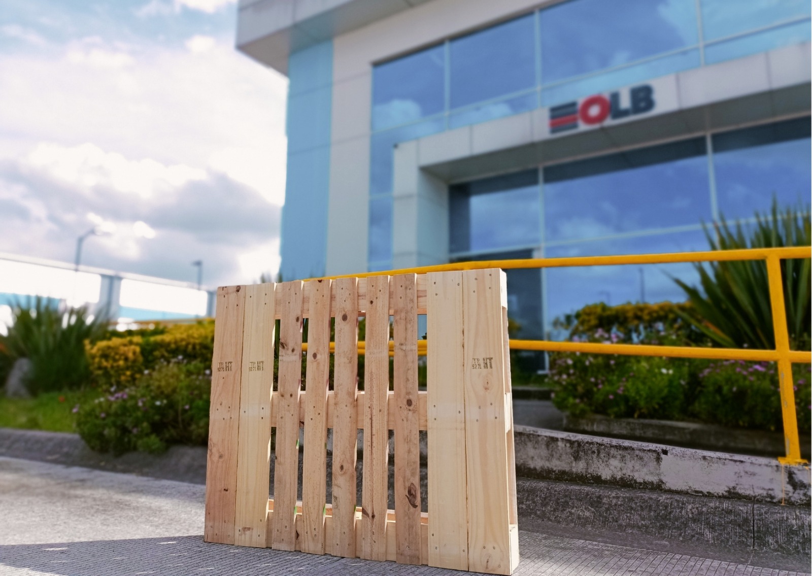 Equipo de trabajo Organización LB